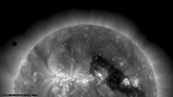 transitofvenus:  The Transit of Venus, June 5, 2012