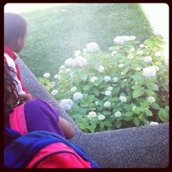 Admiring my aunt’s flower bush. #family