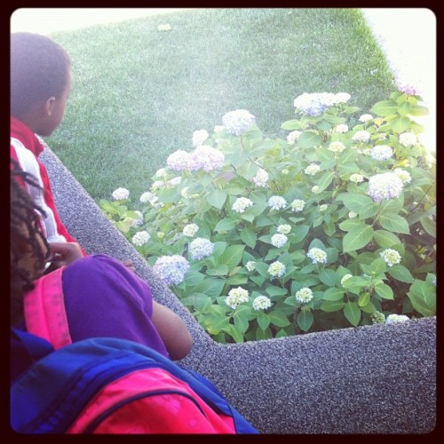 Admiring my aunt’s flower bush. #family #thejr'z #instaphoto  (Taken with instagram)