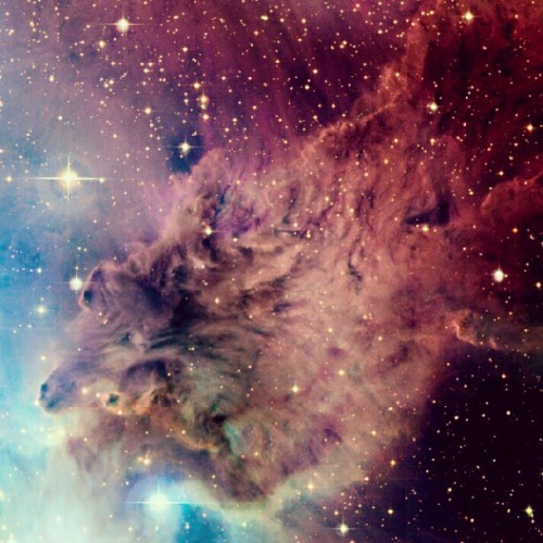 josemertz:  Hey look! It’s an early photo of you before u were born. :) (Taken with instagram) 