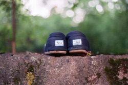 floorpl4n:  toms. by anya kubilus on Flickr. 