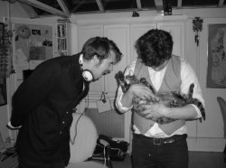 musicianswithkittens:  marcus mumford and cat (part ii). 