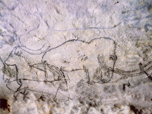 cavetocanvas:  Ibexes with a mammoth from Rouffignac Cave, c. 13,000 BCE 