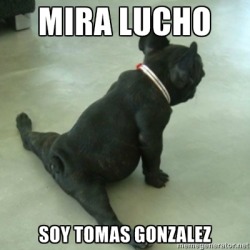 malditoschubacas:  Mira Lucho 