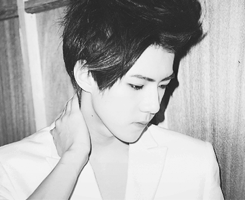 - a.p.o.l.o.g.y. -