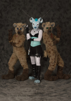 Well tumblr won&rsquo;t let me post a photoset, so here&rsquo;s a more cumbersome display. Sine! my robotic hyena. (the one that&rsquo;s not like the others :P)  And again, with my other suit, Beisa the oryx. 