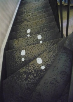 bandtshirt: Tabi footprints at the Maison Martin Margiela 20 exhibit showcased in the Somerset House of London, June 2010 