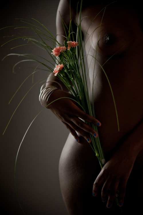 ~Sensuelle's Picture Book~