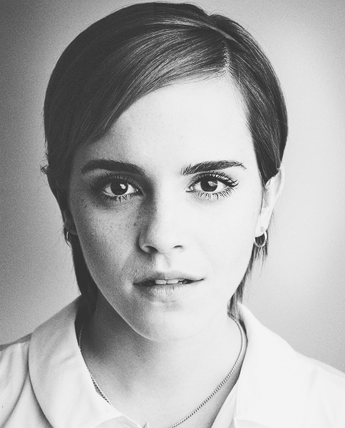 holymotherofrowling-deactivated:  New promotional image for Perks of Being a Wallflower
