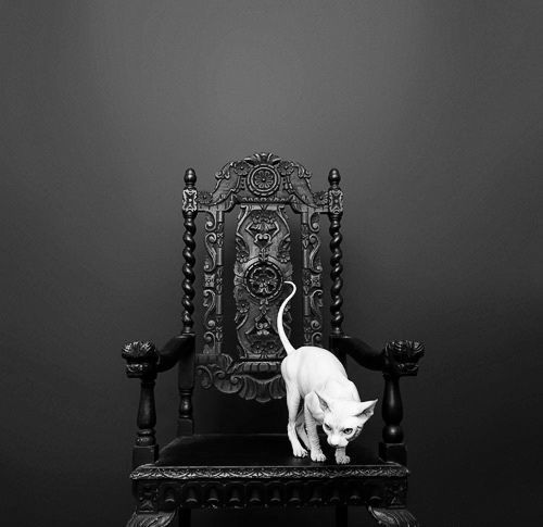 nameless-city:
“ I want a chair like this.
”