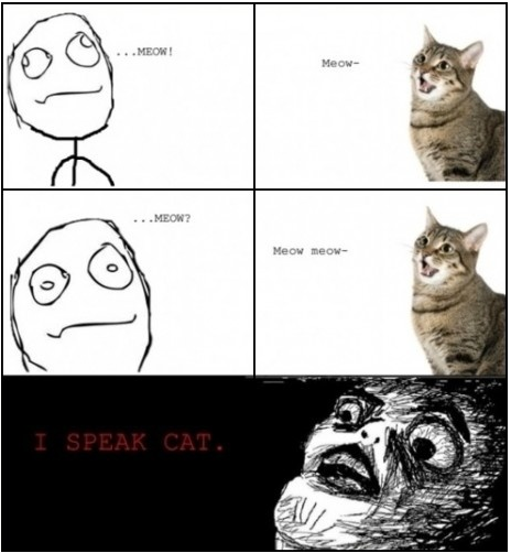 Just Funny Pictures