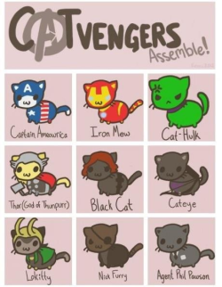 koisnake:  ledanneh:  I love these D:  CATS CATS CATS   My little sister Chloe went nuts upon seeing this and is now describing what a movie with all cat Avengers would be like