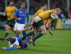 sexysportif:  rugby sexy 