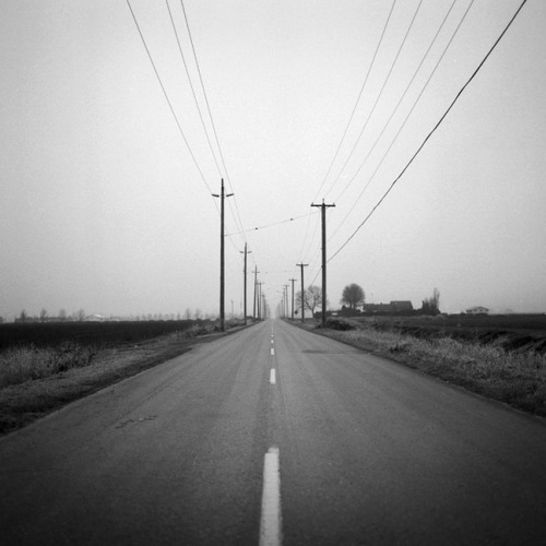 rcwgrey:  converging lines, chilliwack 