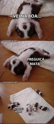 Revelacoesdeumameninasonhadora