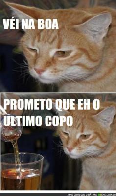 Revelacoesdeumameninasonhadora