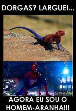 Revelacoesdeumameninasonhadora