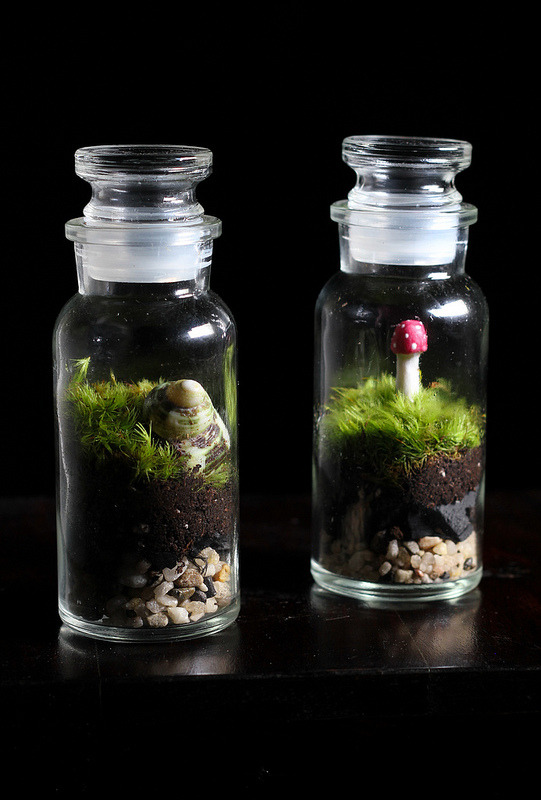 Tiny Mushroom Jar 