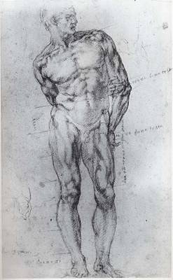 alunmabon:  Michelangelo (1475-1564) Drawing male nude 