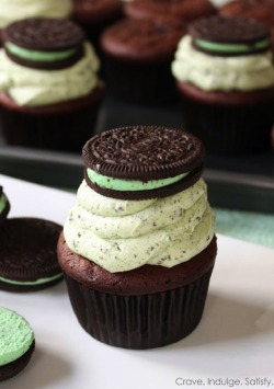 gastrogirl:  chocolate oreo mint cupcakes.