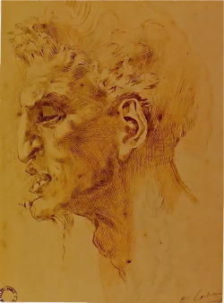 langoaurelian: Jean-Baptiste Carpeaux  “Tête de faune” , Crayon, sanguine, plume et encre brune - 35,9 x 29,4 cmValenciennes, musée des Beaux-Arts 