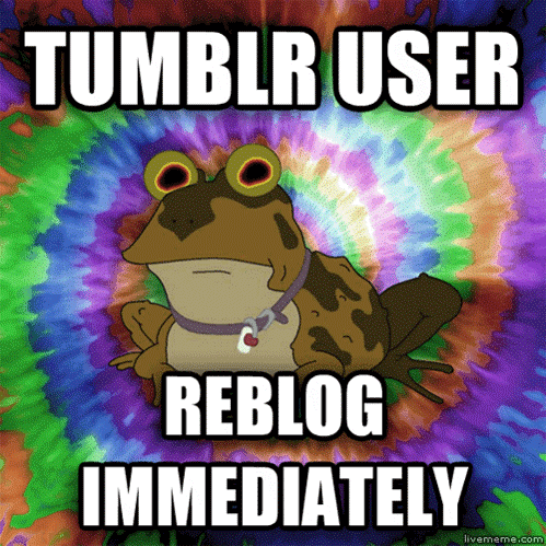 dr-robotnik:  ALL GLORY TO THE HYPNOTOAD! 