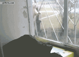 https://69.media.tumblr.com/tumblr_m59ssmTuTr1ql2603o1_400.gif