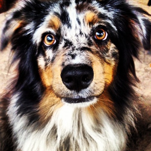 rachel-k:  My beautiful son 💘 (Taken with Instagram) 