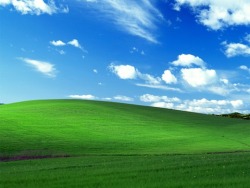 adolfhitlermpreg:  tranquilexplosion:  The photo at top is the most-viewed image in the world, the “Bliss” wallpaper that came with Windows XP.  The photo at bottom is what the same spot looks like today.  wow, i can’t believe this. this is what