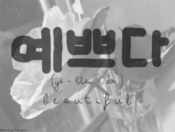 learning-hangeul:  예쁘다 | (ye-bbeu-da)