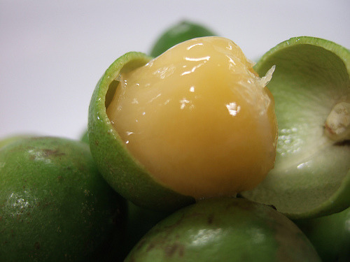 sonoanthony:  gunsounds:  quenepas  limoncillos 