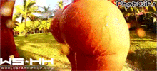 phatgifs:  Stephanie Santiago 1