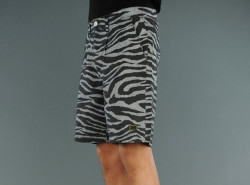 onlycoolstuff:  fresjive shorts s/s 2012