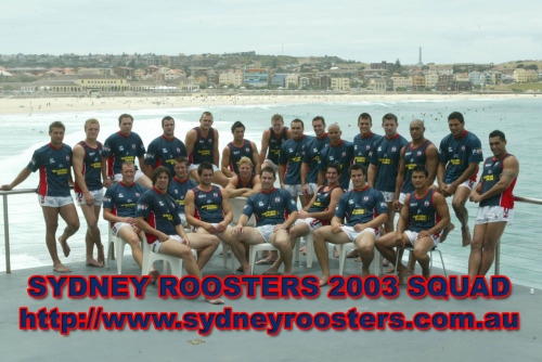 old roosters