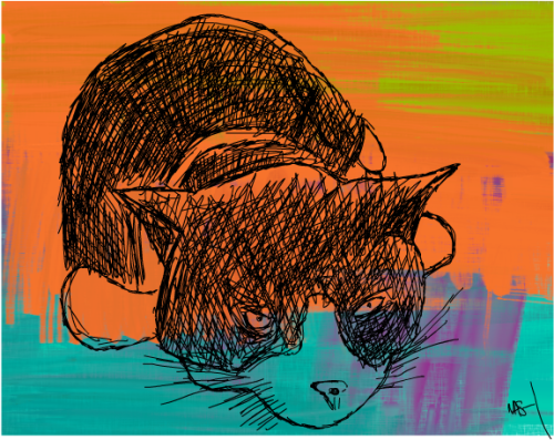 travnash:  Belle the crime fighting space cat Trav Nash