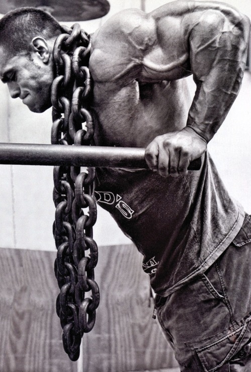 befiteatfat:  Both the dip and the pushup are upper-body pushing exercises. Though