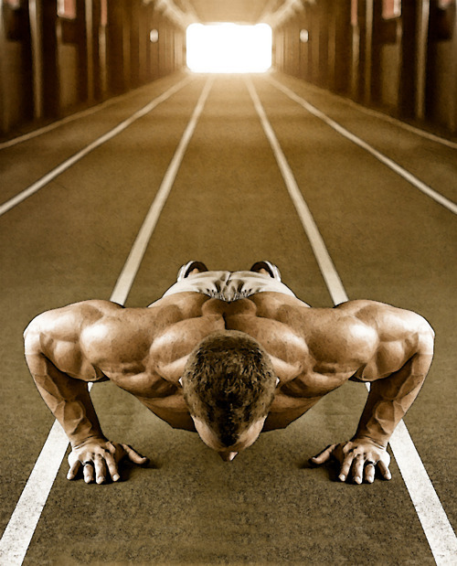 befiteatfat:  Both the dip and the pushup are upper-body pushing exercises. Though