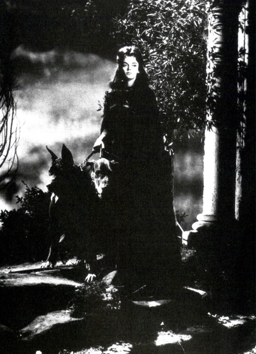 Mistress of Blackness. 