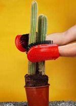 n-e-w-f:
“(via Cactus Shop Cactus Tools)
”