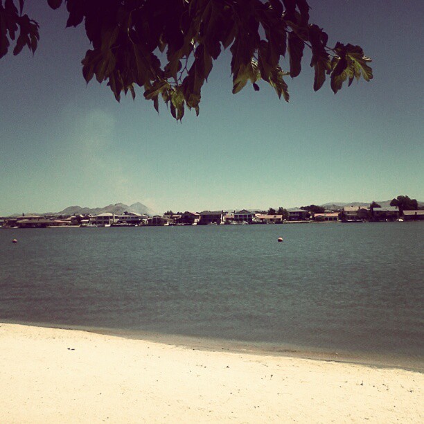 mercedesmarie:  #desertoasis (Taken with Instagram) 