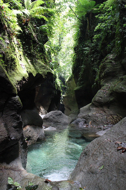 Exploring the scenic Titou Gorge in Dominica (by Extreme Dominica).