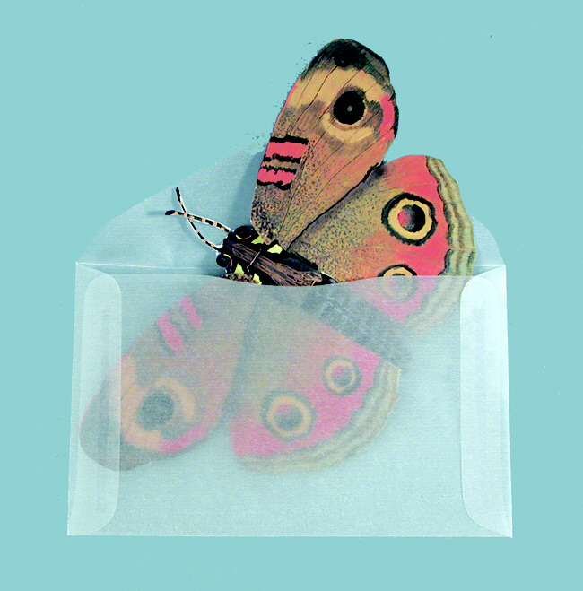colored section