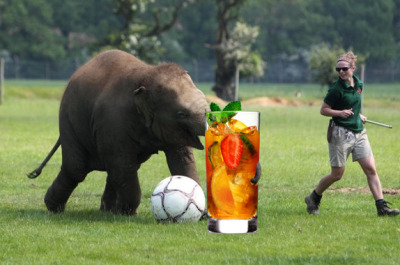 Donna isn’t interested in jubilees. All she really cares about is ‘football’ and a refreshing Pimm’s Cup that she can really wrap her trunk around.
Watch out, though. She’s got a mean side tackle.