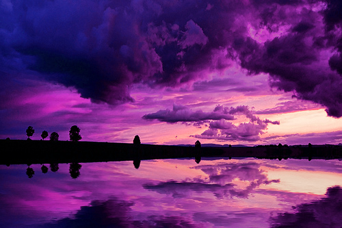zombisexual:  Secret World (by Philippe Sainte-Laudy)
