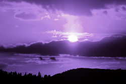 zombisexual:  A Purple Sunset Dream (by ben124)