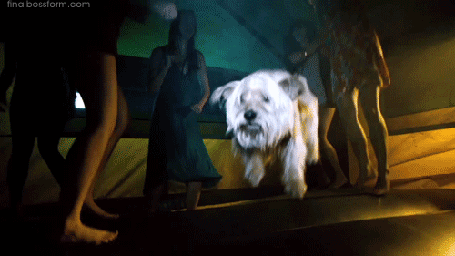 forapesimist-i-mprettyoptimistic:  perro culiao :’D estaba terrible volao por culpa de los weones XDDDDD