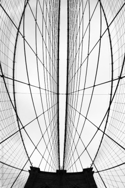 fiore-rosso:  tobias koch | steel wires &