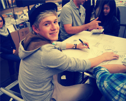 niallimagines