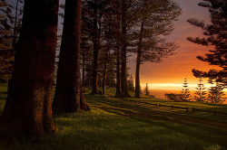 bluepueblo:  Sunset, Norfolk Island, South