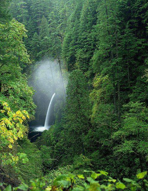 africa-n: enchanted-waterfalls:  Metlako Falls, all 100 feet of her by Zeb Andrews on Flickr.  queue